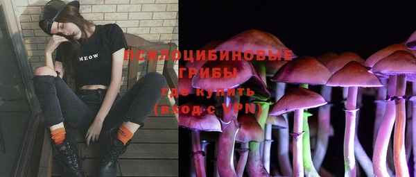 spice Лиски