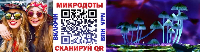 omg вход  Горячеводский  Галлюциногенные грибы Psilocybine cubensis  магазин  наркотиков 